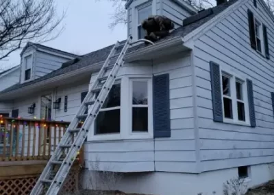 Professional Roofing